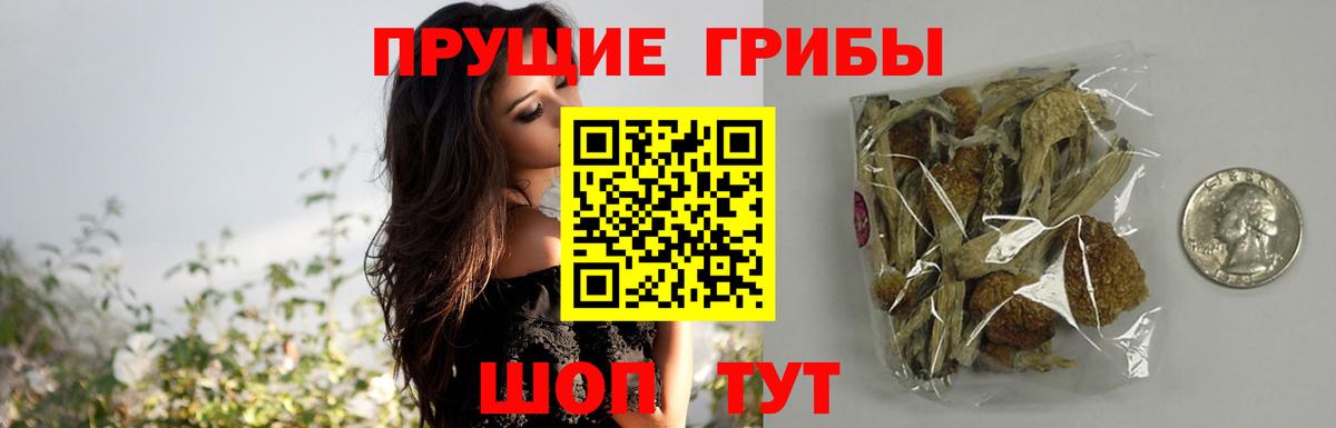 Псилоцибиновые грибы мухоморы  Вход с VPN  Великий Новгород 